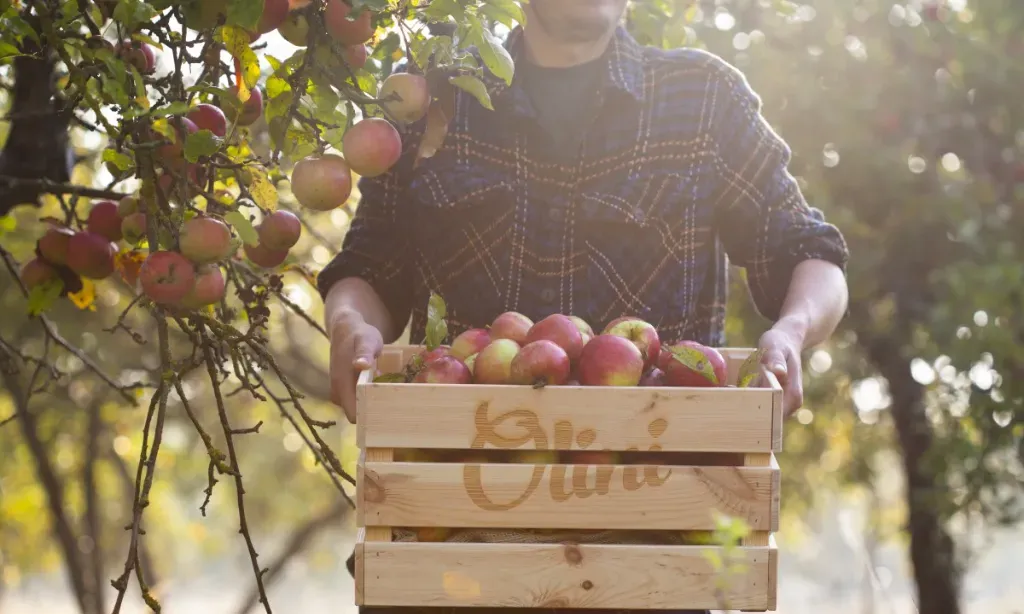 co warto włączyć do codziennej rutyny