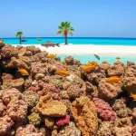 Marsa alam – co warto zobaczyć?